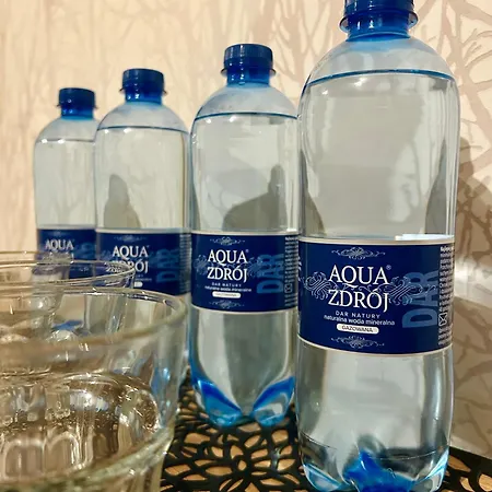 Stary Młyn 3* Żory