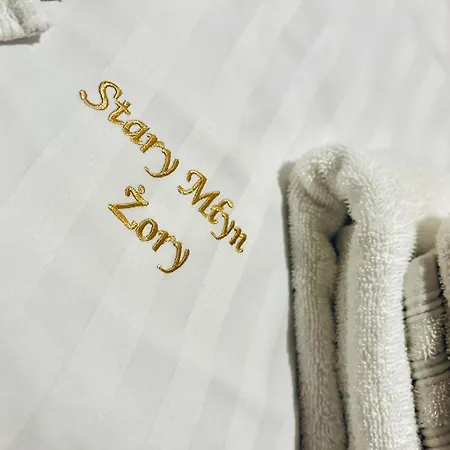 Stary Mlyn Mini-hôtel 3*