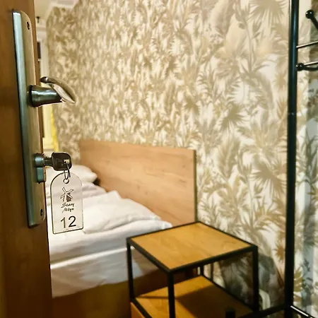 Stary Mlyn Mini-hôtel 3*