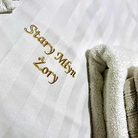 Stary Mlyn Żory